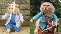 Viral Kostum Kucing Unik, Ada yang Mirip Penjual Cuanki Hingga Dokter. (Sumber: Twitter/@usingcloath5)