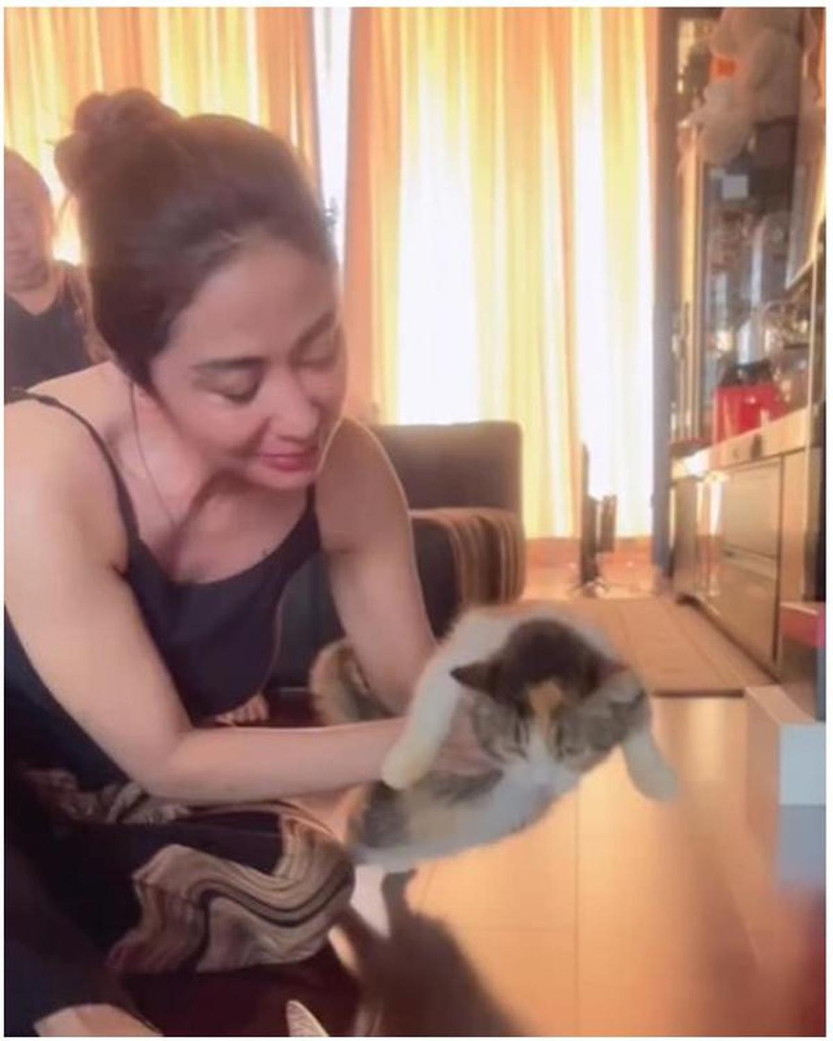 6 Potret Dewi Perssik Rawat Kucing Eko Patrio yang Selamat Pasca Penjarahan Rumah