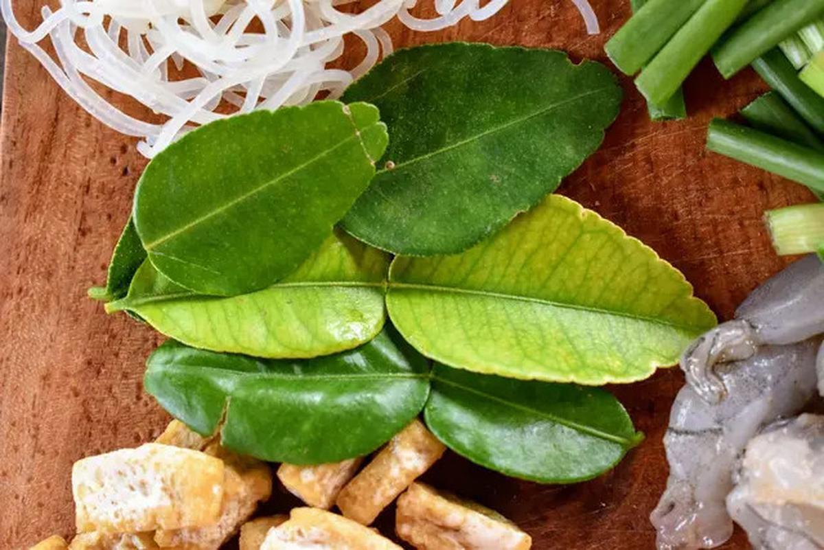 Pakai Bumbu Ini, Soto Ayam Biasa Jadi Seenak Warung Legendaris
