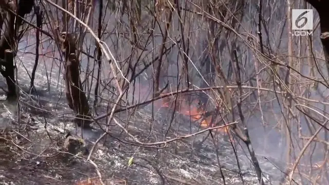 Kebakaran kawasan hutan di Gunung Guntur mencapai 20 hektar atau sekitar 10 km dari Kota Garut