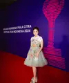 Tissa Biani sukses mencuri perhatian saat hadir di gelaran Anugerah Piala Citra Festival Film Indonesia 2024. [@tissabiani].