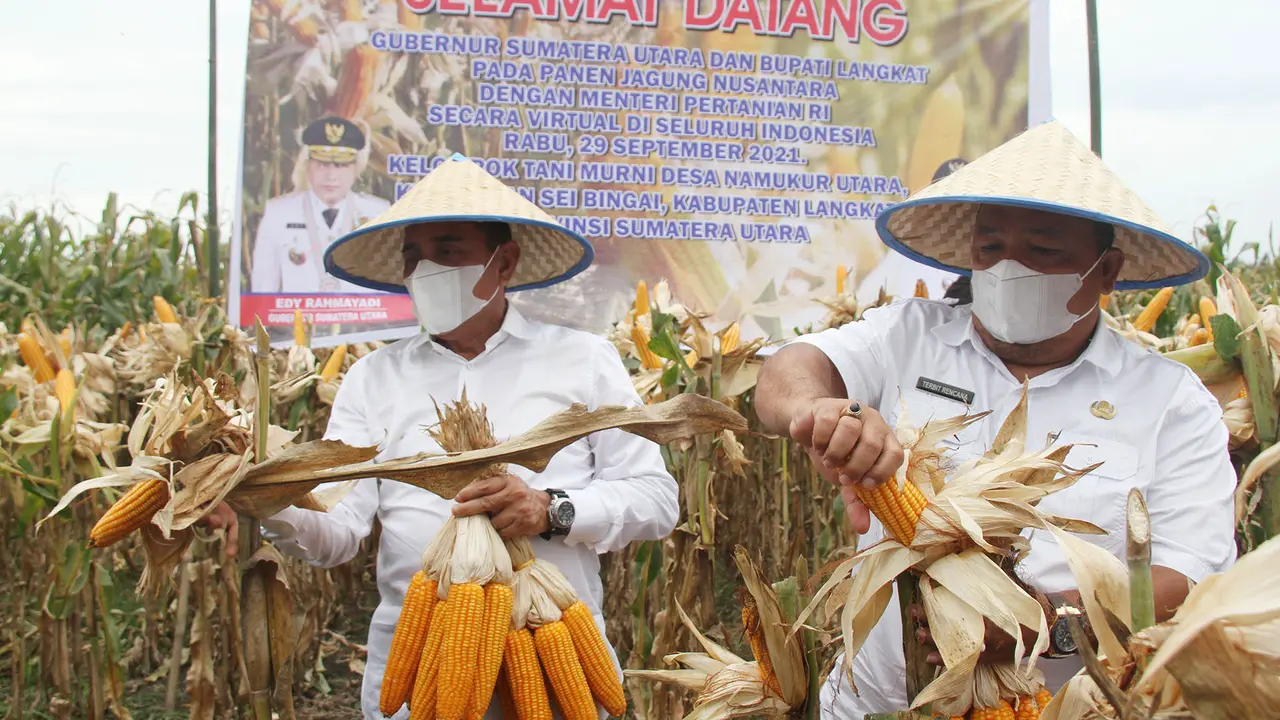 Gubernur Sumut, Edy Rahmayadi