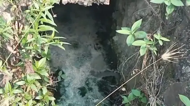 Bau Menyengat dan Air Hitam dari Limbah Dapur SPPG Bikin Warga Lampung Selatan Resah