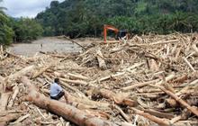 Penebangan Hutan Diduga Jadi Pemicu Banjir Sumatra, DPR Panggil Menhut Raja Juli Kamis Pekan Ini