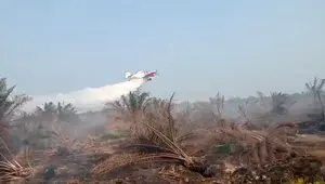Kebakaran Gambut di Mesuji, Pesawat Water Bombing Dikerahkan