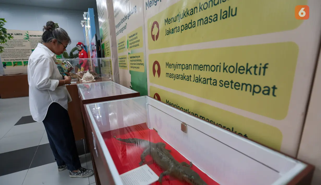 Pengunjung melihat koleksi kupu-kupu gajah, belalang ranting, dan kumbang tanduk dalam pameran “Hutan dan Peradaban: Dari Ekosistem Kehidupan Menuju Masa Depan” yang digelar gratis di area publik Stasiun MRT Bundaran HI, Jakarta, Senin (12/10/2026). (KLY/Budy Santoso)