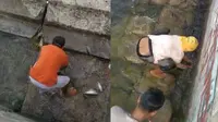 Ikan-Ikan Mendadak Naik ke Daratan di Gorontalo, Pertanda Gempa?