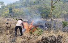 Hutan Konservasi dan Lahan Warga di Kintamani Terbakar