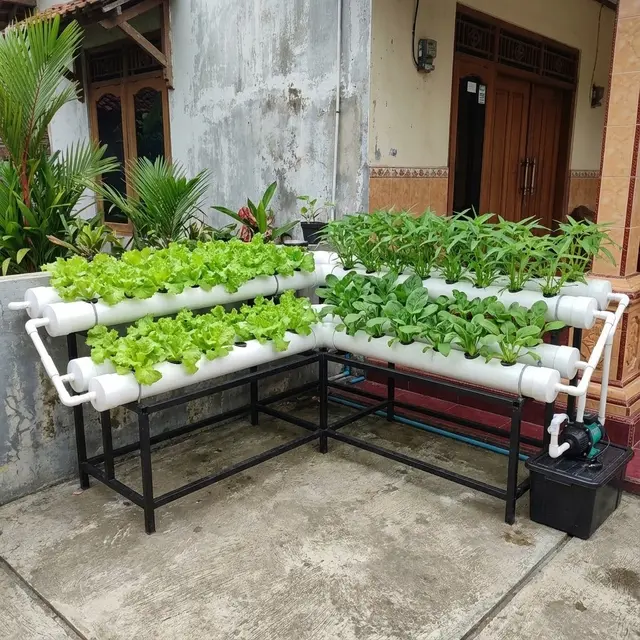 Model Kebun Mini di Teras Cor Tanpa Tanah