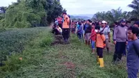 Lokasi seorang warga diterkam buaya saat memetik kangkung di Mamuju Tengah (Liputan.com/Istimewa)