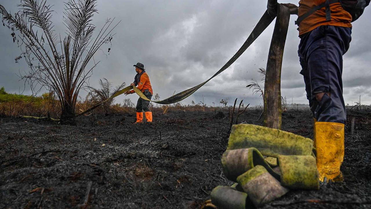 FOTO: Semangat Petugas BPBD Aceh Barat di Tengah Sulitnya Memadamkan Api di Hutan Gambut