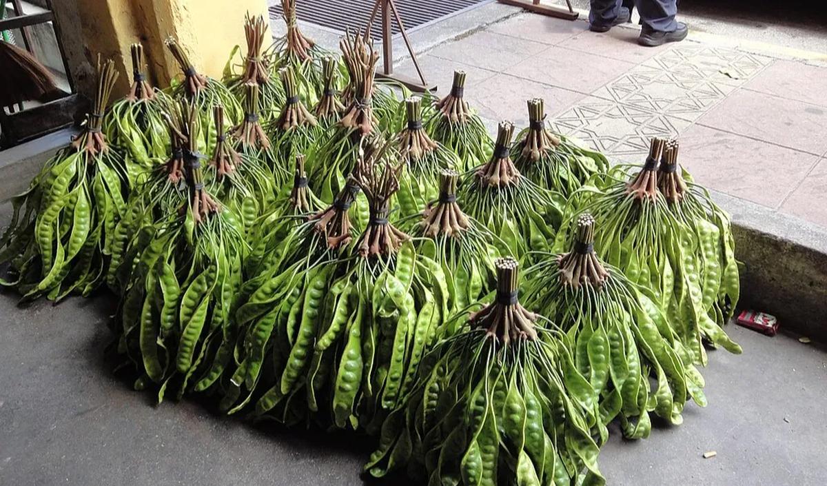 Mengatasi Kutil
