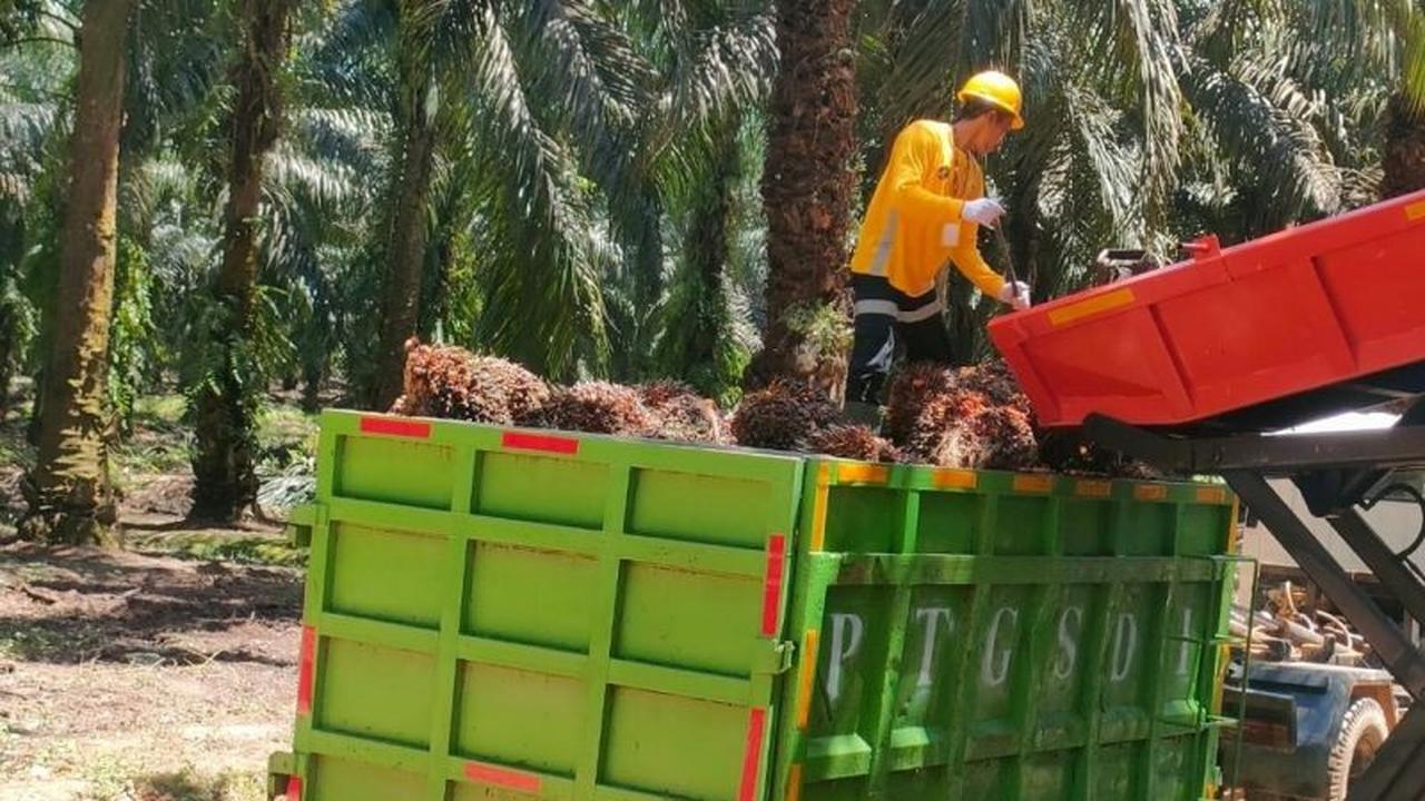 Astra Agro Targetkan 100% Ketertelusuran Rantai Pasok Sawit hingga 2024: Ini Inovasi Digitalnya