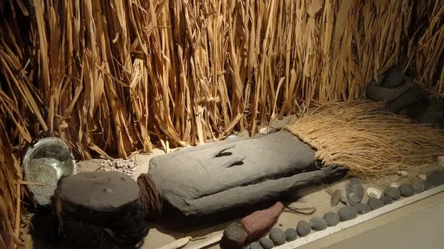 Mumi Chinchorro