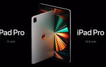 iPad Pro Layar OLED Bakal Meluncur 2025, Apa yang Baru?