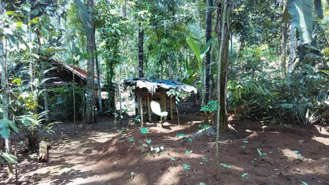 Ini pria di Banyumas dipasung selama 24 tahun karena suka ngamuk