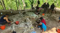 Tim Ekskavasi Museum Geologi Bandung menemukan fosil gajah purba jenis Stegodon trigonocephalus diperkirakan berumur sekitar 800 ribu tahun yang lalu di kawasan Hutan Tritik, Kecamatan Rejoso, Kabupaten Nganjuk, Jawa Timur. (sumber foto: Badan Geologi)
