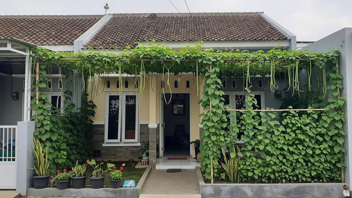 8 Ide Kanopi Sayur Rambat untuk Rumah Tipe 36, Sejuk dan Hemat Tempat