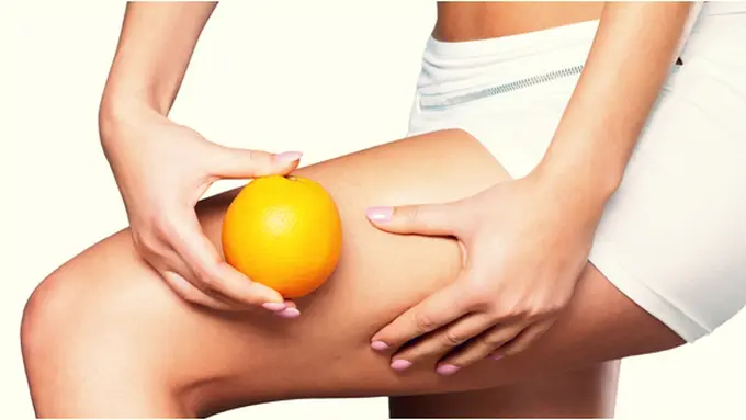 copyright by shutterstock.com