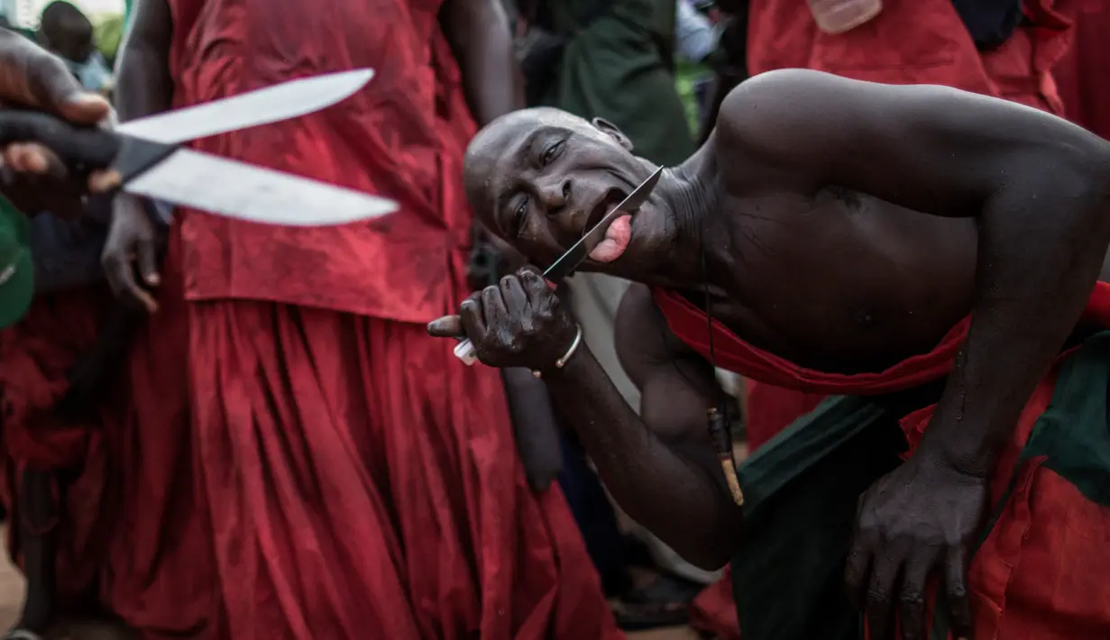 Seorang warga etnis Joles menggoreskan pisau ke lidahnya saat menunjukan kekuatan sihir di Bikama, Gambia (24/11). Kekuatan itu berasal dari air spiritual yang membuat mereka kebal dari senjata tajam. (AFP/Marco Longari)