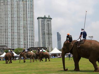 Download 8400 Gambar Gajah Polos  