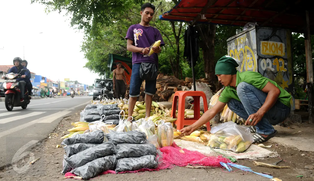 Pedagang jagung dan arang merapihkan dagangannya yang digelar di Jalan Raya Bogor, Depok, Kamis (31/12/2015). Salah satu pedagang mengaku menjual seharga Rp 3.000,- per jagung dan arang Rp 5.000,- per bungkus. (Liputan6.com/Helmi Fithriansyah)