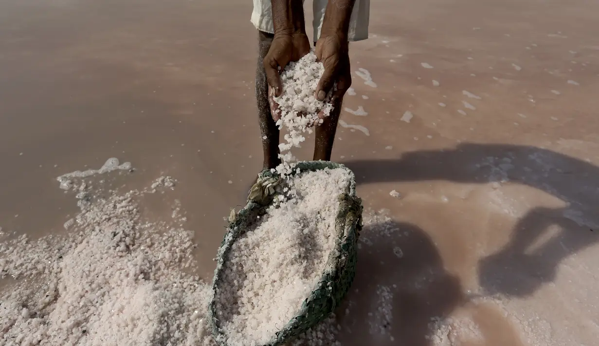 Seorang buruh mengumpulkan garam laut di daerah pesisir dekat Karachi, Pakistan, Sabtu (13/11/2021). Buruh memperoleh rata-rata 1.050 rupee Pakistan (US$ 6) per hari dari pekerjaan mereka untuk mencari nafkah bagi keluarga. (AP Photo/Fareed Khan)