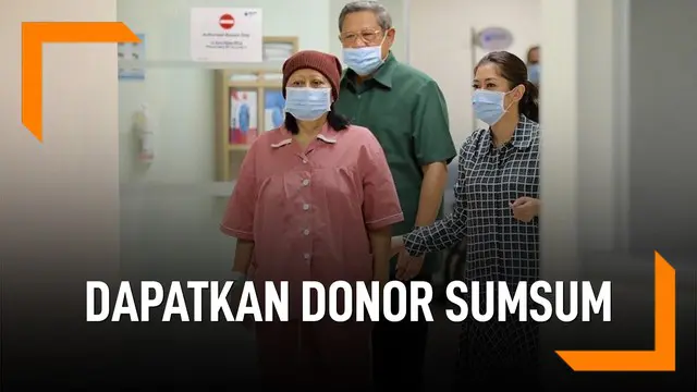 Ani Yudhoyono akan dapatkan donor sumsum tulang belakang. Adik kandung Ani, Pramono Edhie Wibowo adalah pendonornya.