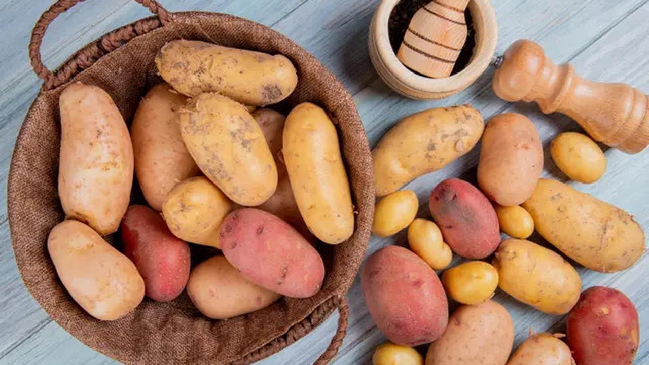 Makanan yang Kaya akan Serat untuk Kesehatan Pencernaan