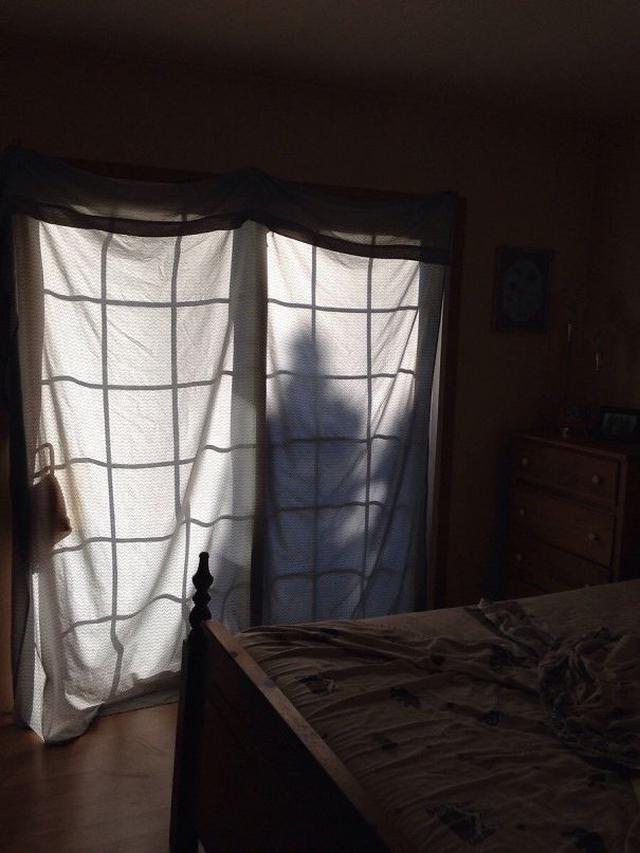 ilusi optik (foto: boredpanda)