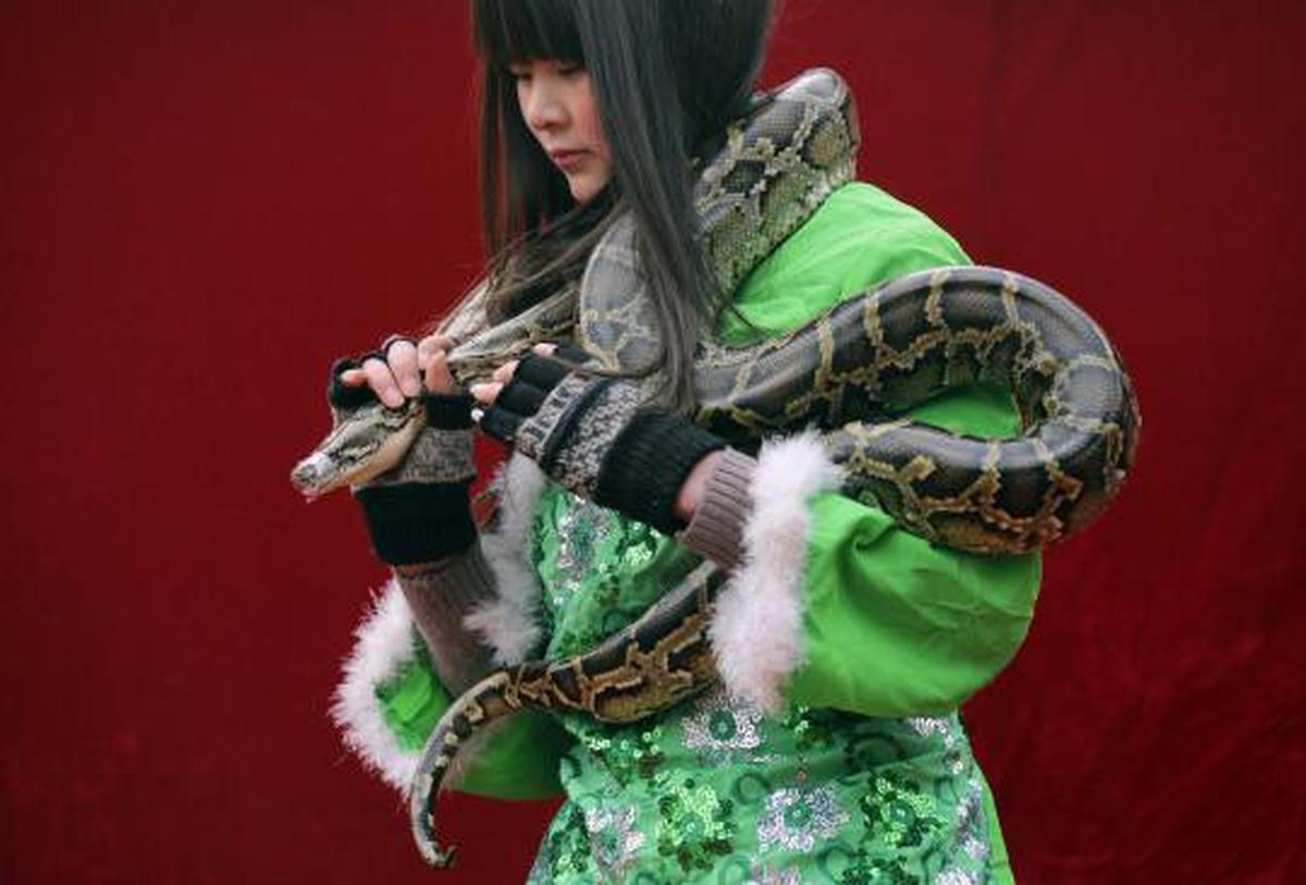 Atraksi berbahaya sambut tahun ular di China