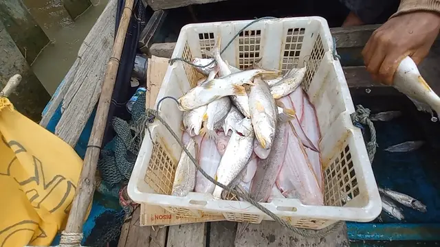 Hasil Laut Suku Duano