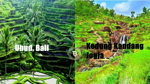 Air terjun Kedung Kandang (foto: backapckeroo/hellonusantara)