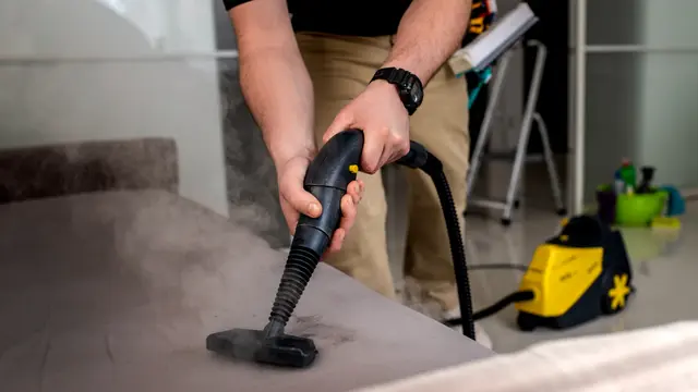 Cleaning Sofa