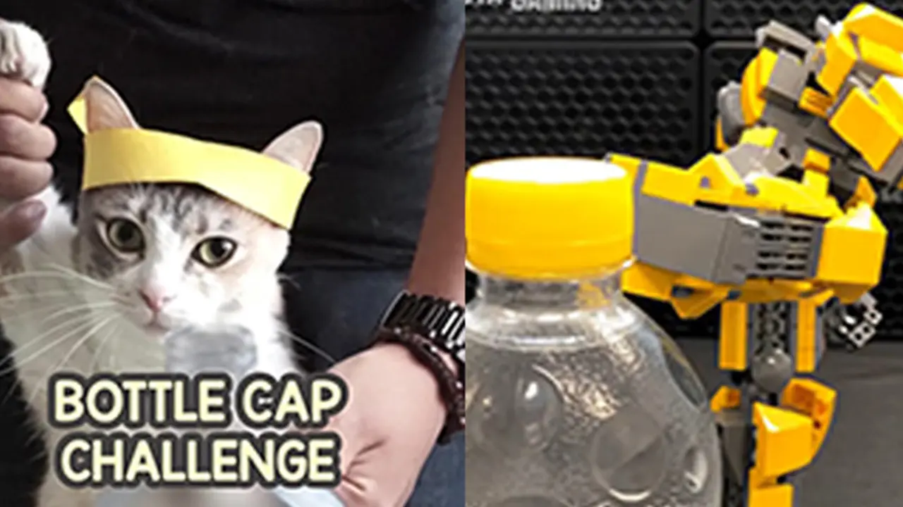 Tak Biasa, Bottle Cap Challenge Ini Bukan Hanya Dilakukan Manusia