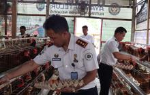 Warga Binaan Rutan Negara Sumbang Telur untuk Korban Bencana, Wujud Empati Kemanusiaan