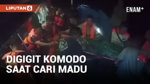 VIDEO: Lagi Cari Madu, Seorang Pria Digigit Komodo