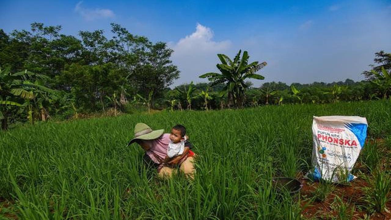 Harga Pupuk Subsidi Dipastikan Tetap, Meski Gejolak Selat Hormuz