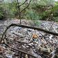 Kondisi sungai di daerah Jimbaran, Bali, yang dipenuhi sampah sebelum kegiatan bersih-bersih sungai digelar Sungai Watch dan IKEA Indonesia, Minggu, 15 Mei 2022. (dok. IKEA Indonesia)