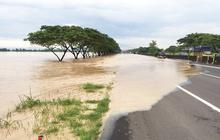 5 Kecamatan di Pemalang Alami Banjir dan Pohon Tumbang, 92 Warga Dievakuasi
