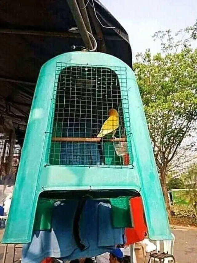 8 Potret Nyeleneh Orang Modifikasi Kursi Plastik, Jadi Kandang Burung