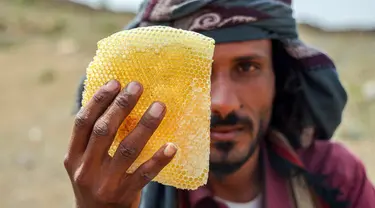 Seorang peternak lebah menunjukkan sarang madu di sebuah peternakan di Kota Taez, Yaman, 28 Juni 2022. Para ahli menganggap madu Yaman sebagai salah satu yang terbaik di dunia, termasuk Royal Sidr yang terkenal karena sifat terapeutiknya. (AHMAD AL-BASHA/AFP)