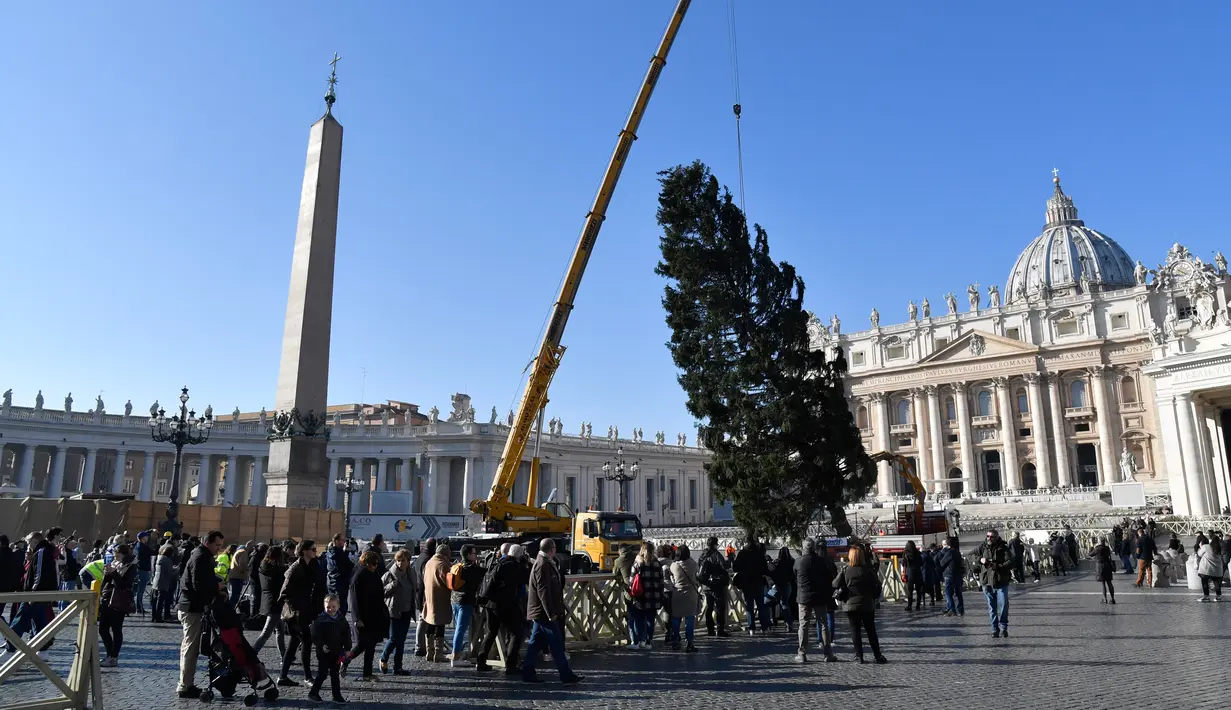 Sejumlah orang melihat alat berat yang dikerahkan untuk mendirikan pohon Natal raksasa di Alun-alun Santo Petrus, Vatikan, Kamis (23/11). Pohon Natal yang didatangkan dari Polandia ini tingginya mencapai 28 meter. (AP Photo/Andrew Medichini)