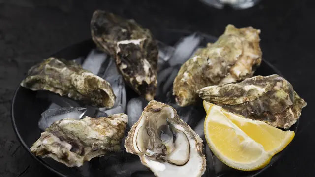 oysters