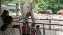 Anak-anak berpose bersama seekor gajah di Khao Kheow Open Zoo, Provinsi Chonburi, Thailand, Selasa (16/6/2020. Enam kebun binatang di Thailand akan kembali dibuka bagi pengunjung secara gratis mulai 15 hingga 30 Juni. (Xinhua/Zhang Keren)