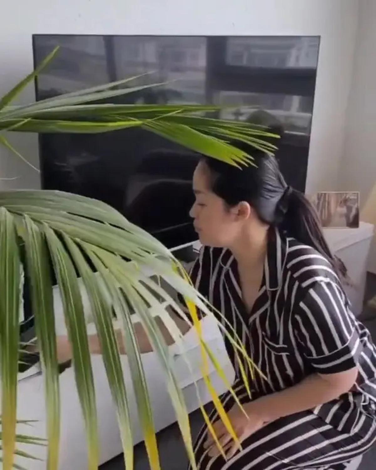 Dapur Modern hingga Ruang Makan Elegan, Ini Gaya Hunian Gracia Indri di Belanda