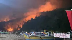 Kebakaran Gunung Watangan Jember Hanguskan 6,5 Hektare Hutan