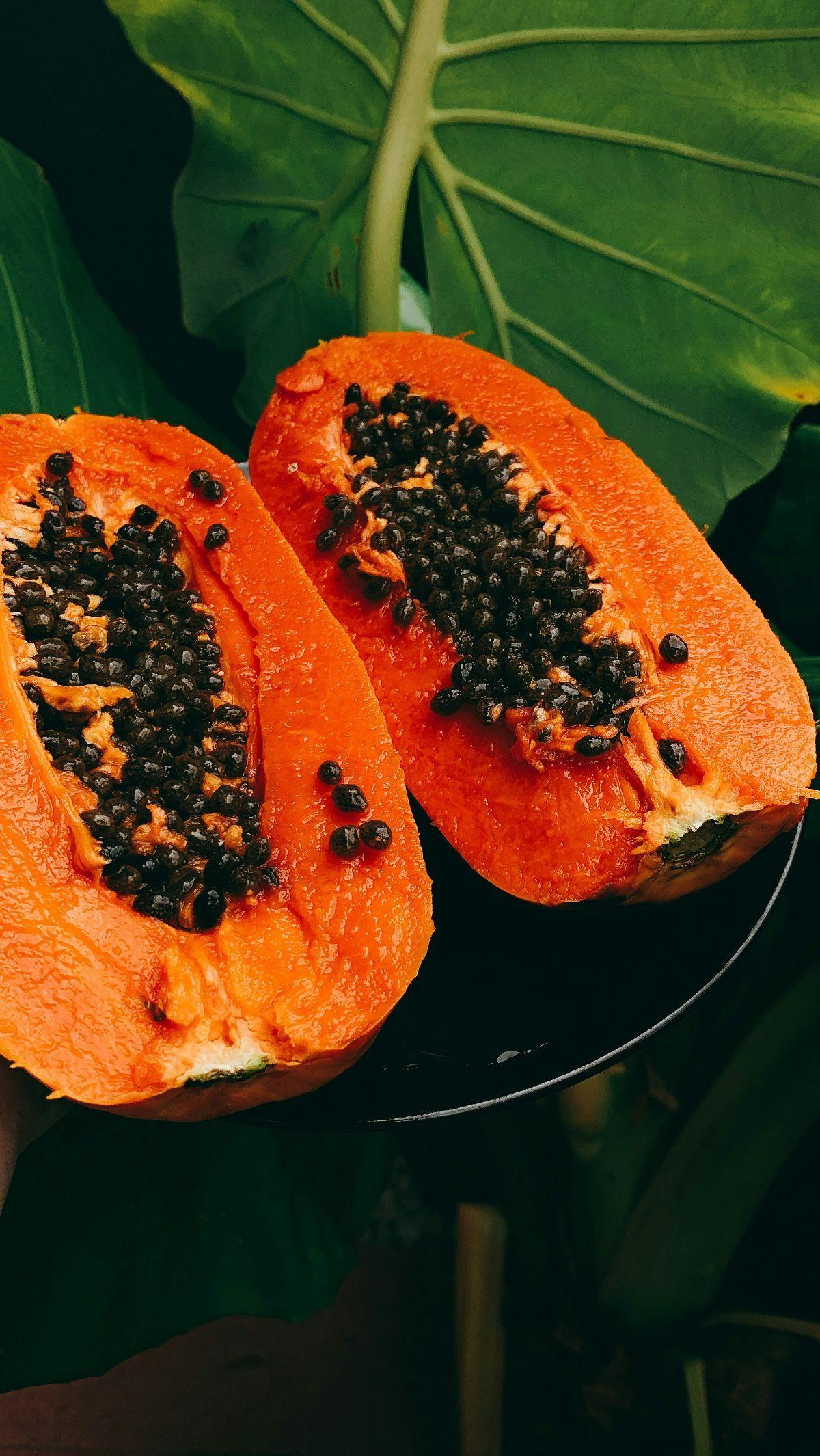Pepaya