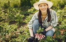 7 Manfaat Berkebun bagi Fisik dan Mental, Bisa Bantu Perpanjang Umur dan Jaga Kebugaran