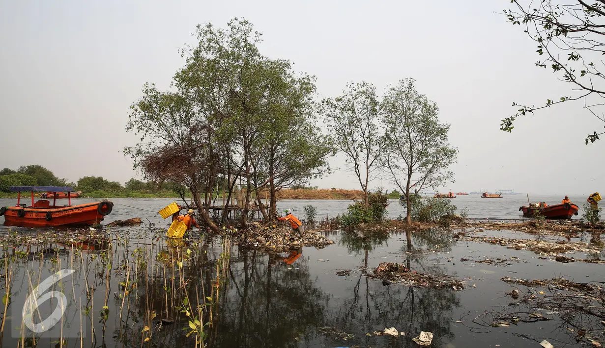 Petugas Dinas Kebersihan membersihkan sampah di pesisir Muara Angke, Jakarta, Kamis (29/10). Petugas menggunakan perahu untuk membersihkan sampah dari kawasan Muara Baru hingga Pantai Indah Kapuk. (Liputan6.com/Faizal Fanani)